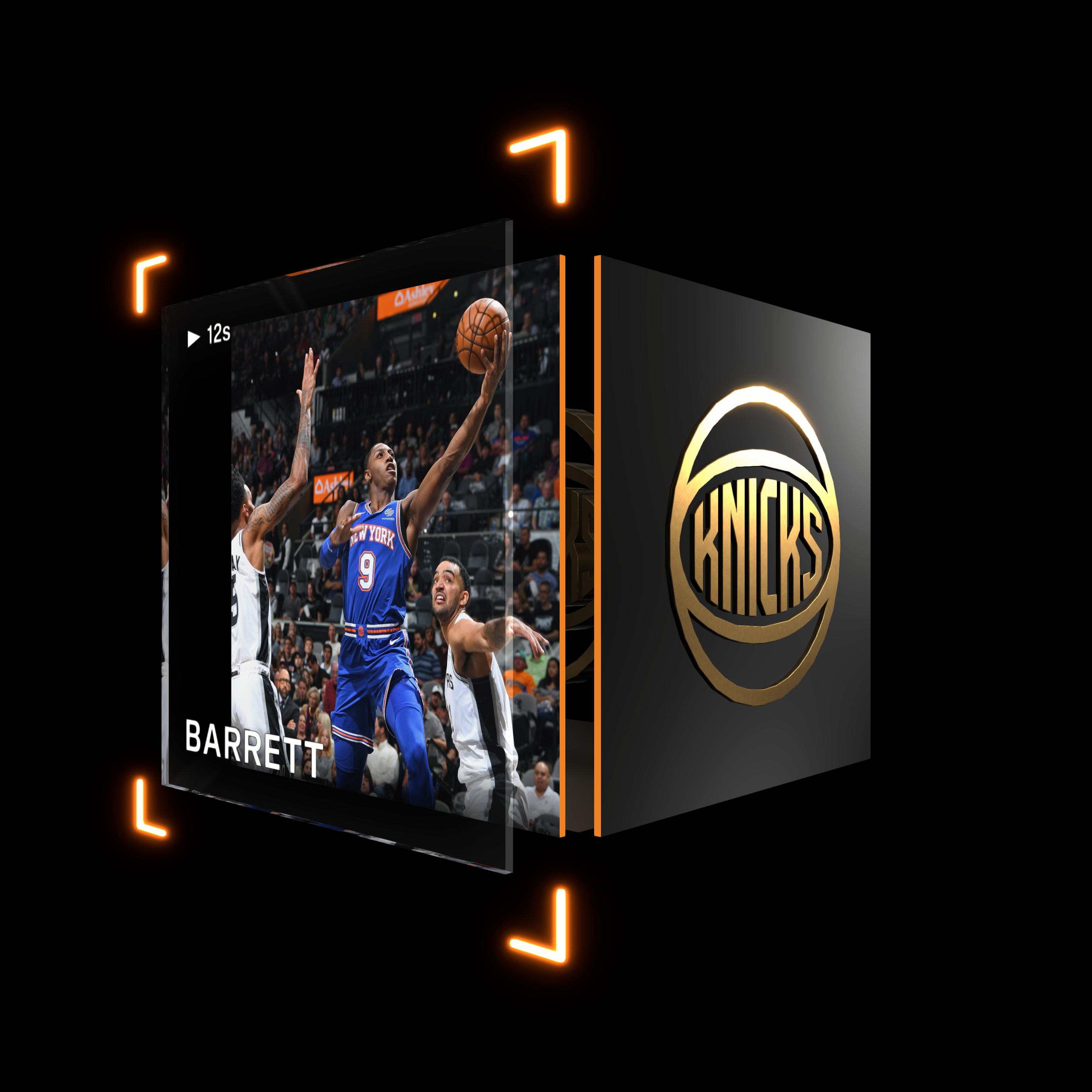 RJ Barrett