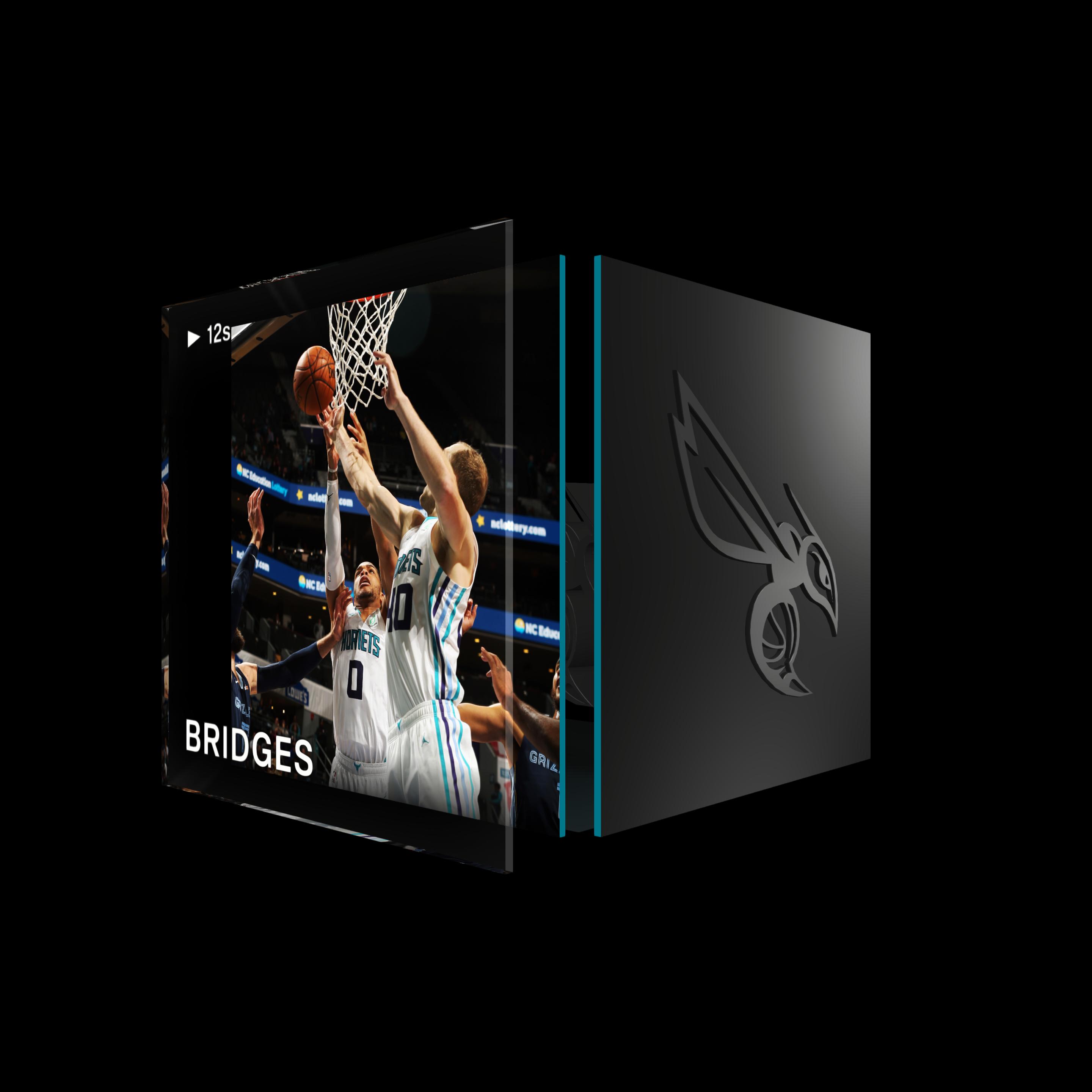 Miles Bridges