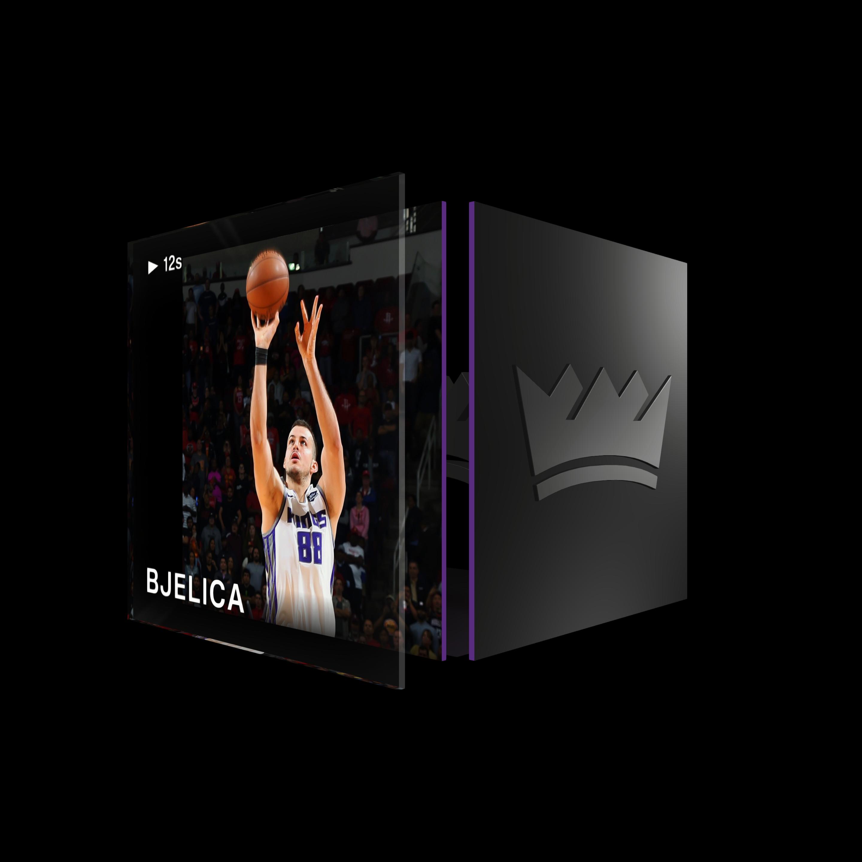 Nemanja Bjelica