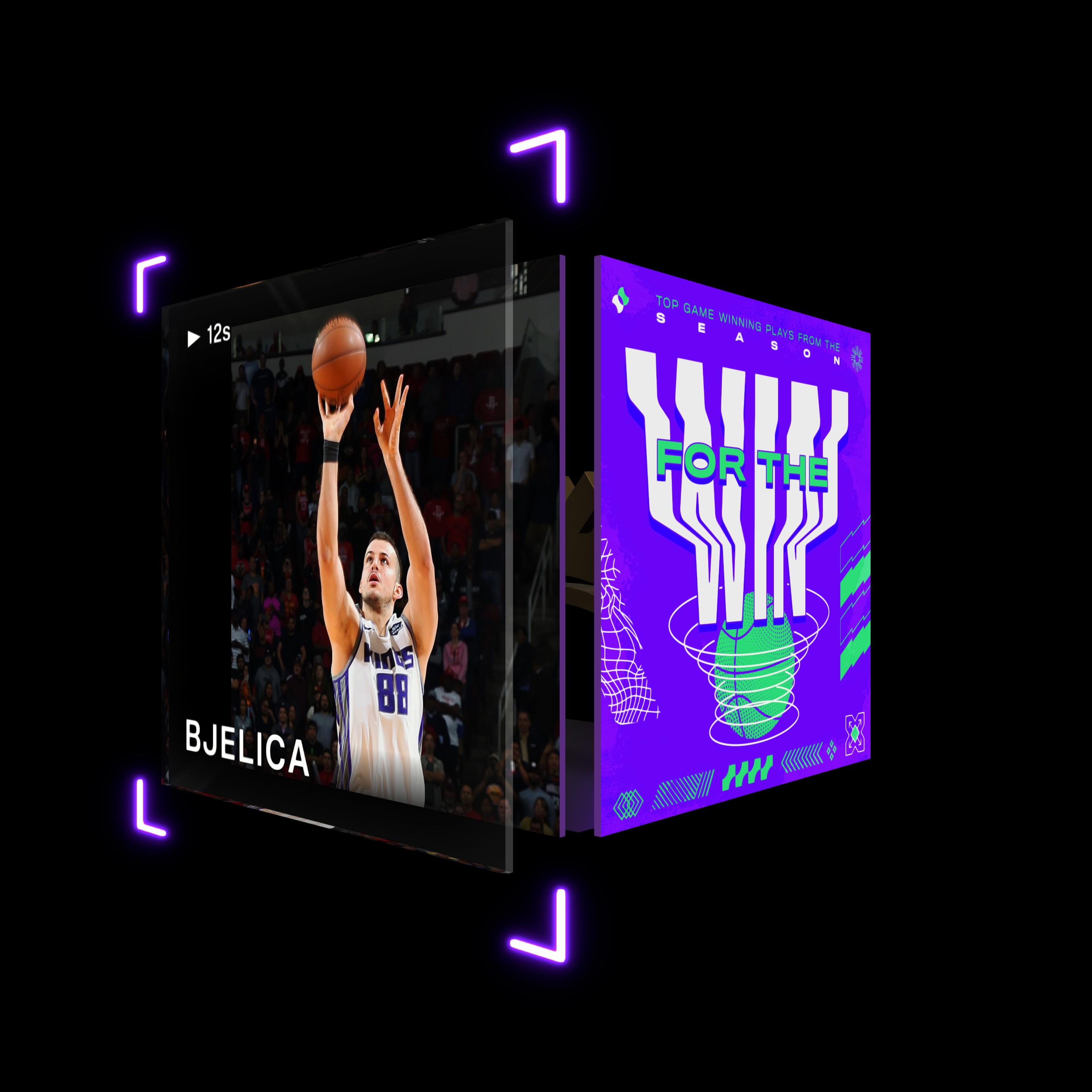 Nemanja Bjelica