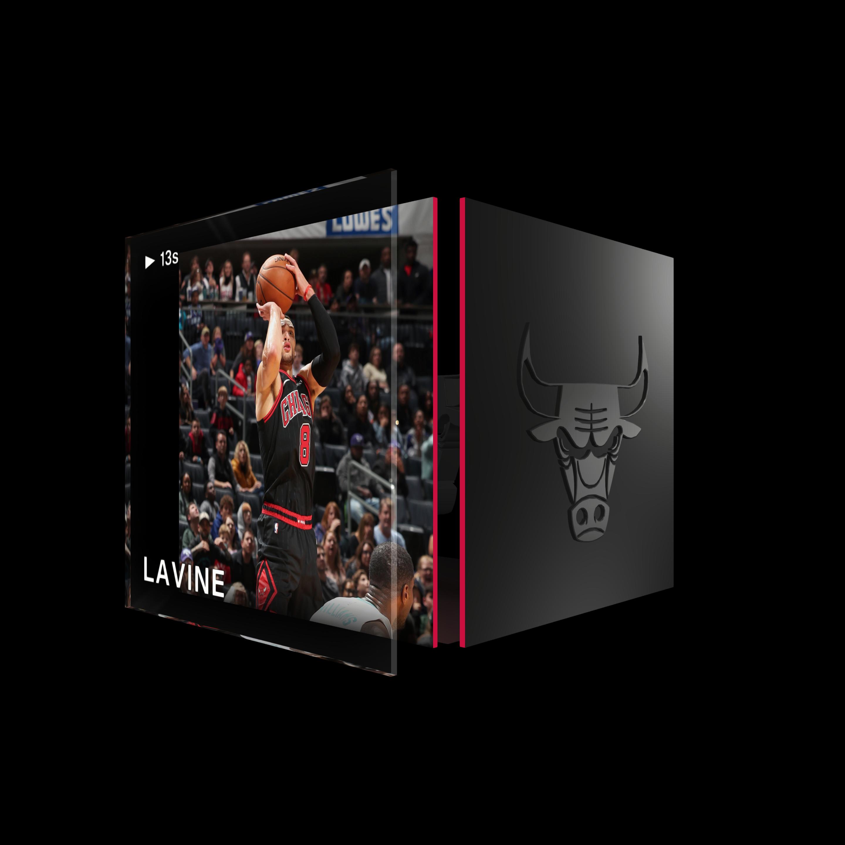 Zach LaVine