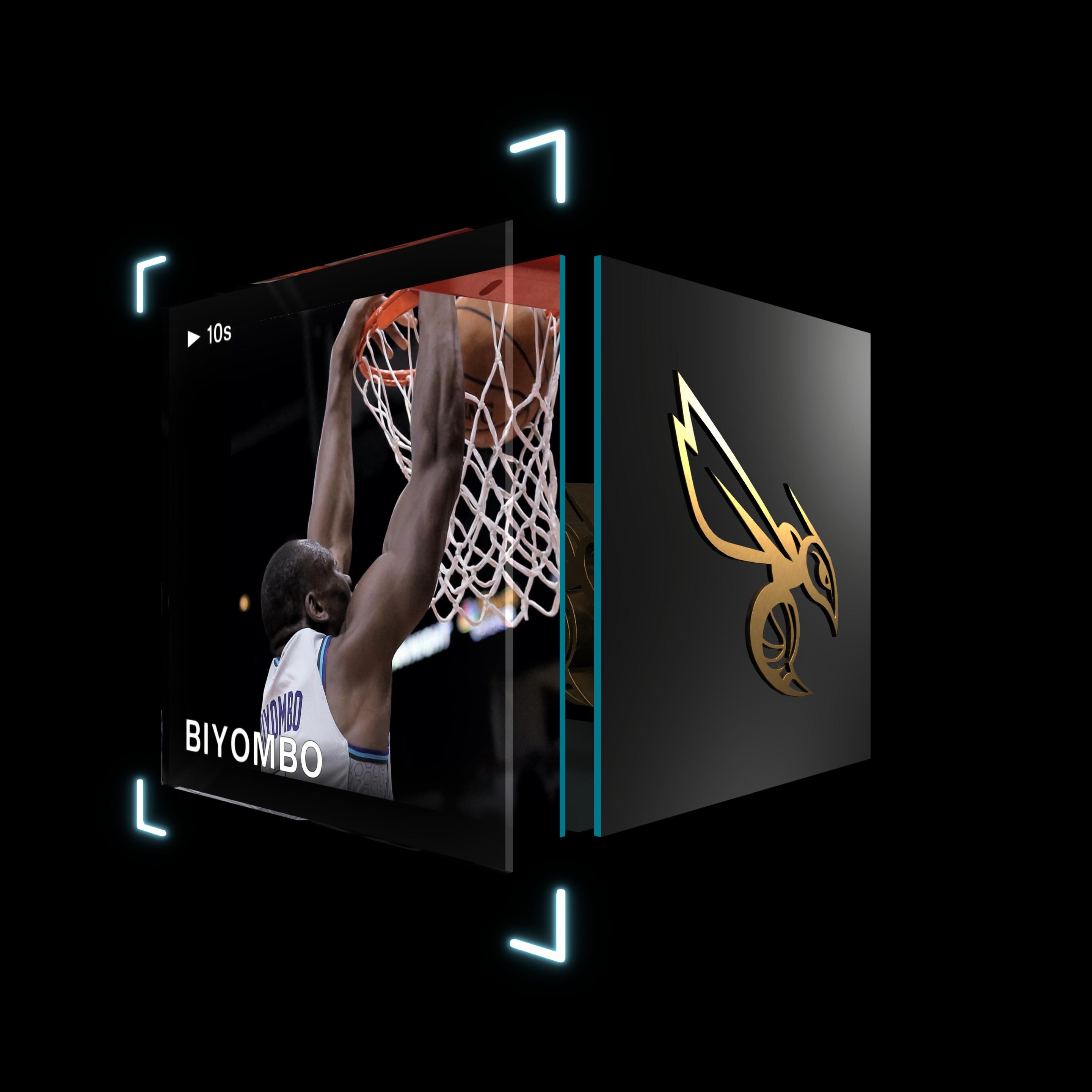 Bismack Biyombo